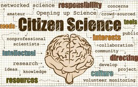 [Translate to English:] Citizen Science Schriftzug