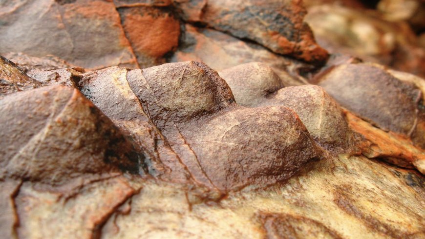 Picture of ancient Archean stromatolites