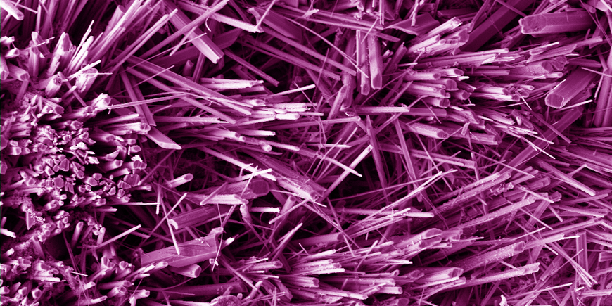 REM-Aufnahme von Mullitkristallen synthetisiert bei 4 kbar und 350°C. Die Nadeln sind dünner als 1 µm.