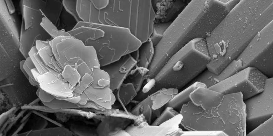 SEM-photo showing tourmaline (columnar crystals) together with micas (platy crystals)