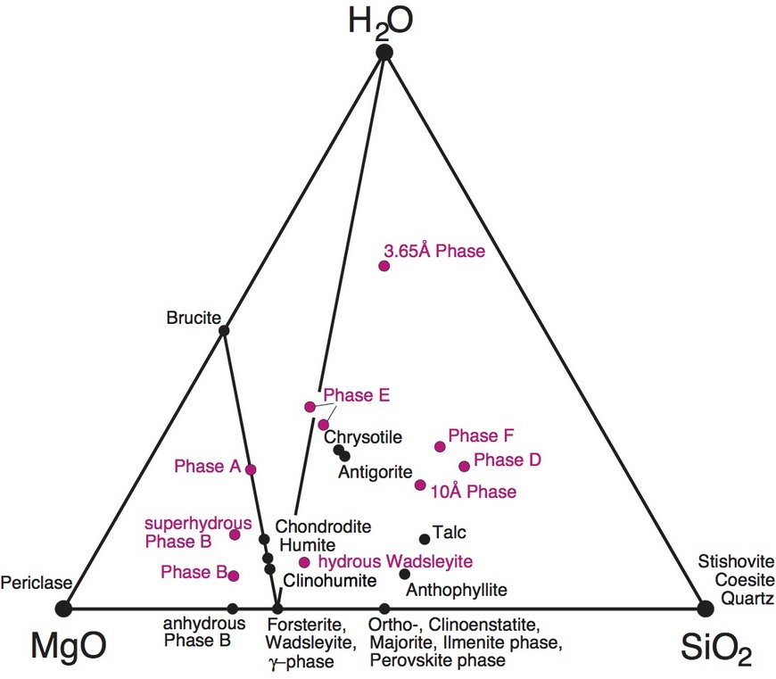 Selected phases in the system MgO-SiO2-H2O. Coloured are Dense Hydrous Magnesium Silicates (DHMS) of which only 10Å phase has been found in nature yet. Some confusion exists concerning nomenclature and identification (superhydrous phase B = phase C; phase D = phase F and phase G)