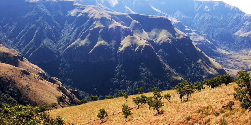 Landscape, brownish grass in the foreground, landscape/mountains marked by erosion in the background