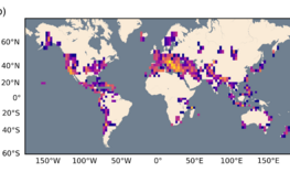 Auf einer Weltkarte sind bunt die Stellen eingezeichnet, von denen Menschen Meldungen über Erdbeben an die LastQuake-Datenbank übermittelt haben.
