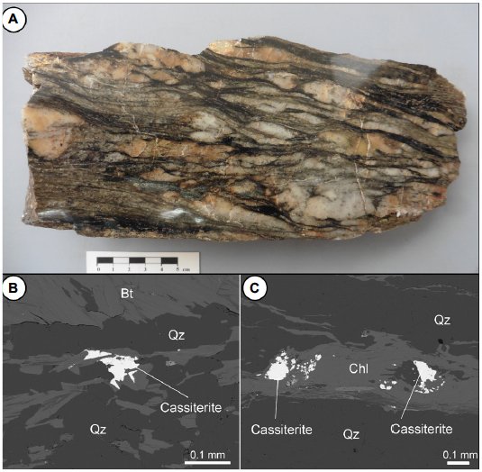 Mica schist with metamorphic cassiterite from Bockau, Erzgebirge (A). Early cassiterite in prograde biotite (Bt) (B) and later cassiterite in retrograde chlorite (Chl) (C). Qz - quartz. From Romer et al. (2022)