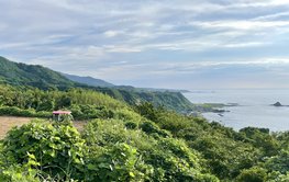 teils mit Bäumen bewachsene, teils landwirtschaftlich bewirtschaftete Meeresterrassen, im Hintergrund das japanische Meer
