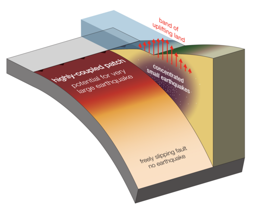 Schematic representation of a subduction zone in coastal areas where one Earth plate slides under the other. Many earthquakes are shown where land uplift is taking place.