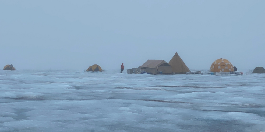 Grönland an einem regnerischen Tag, 2020 Feldarbeit