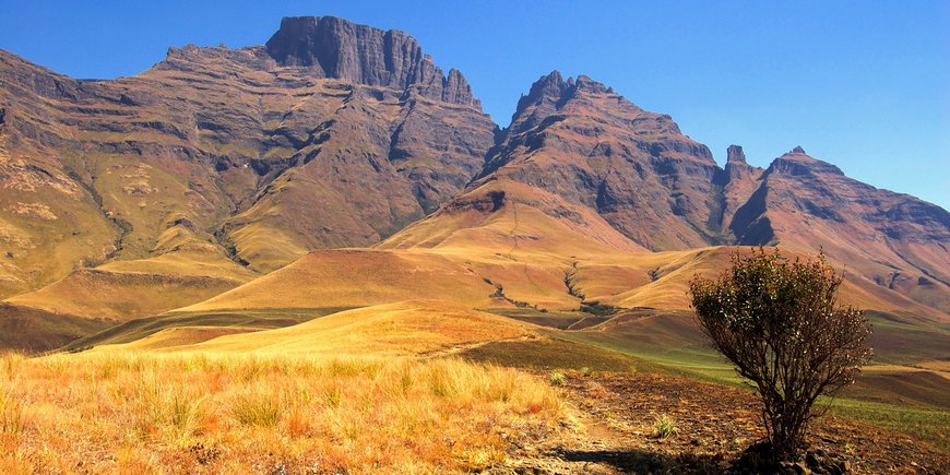 View of a rocky landscape, only a small withered shrub in the foreground