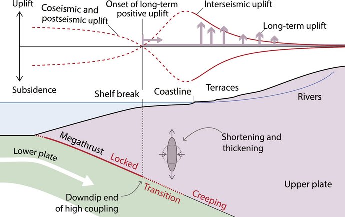 Schematic representation of a subduction zone in coastal areas where one earth plate slides under the other. The various effects of plate displacement on the overlying landscape are shown.