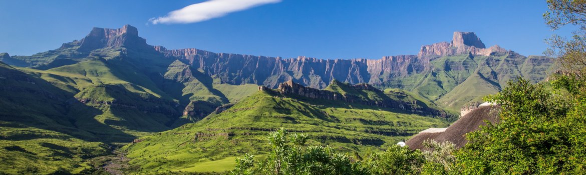 National park with meadows in the foreground and a mountain-like edge in the background with no vegetation running across the picture